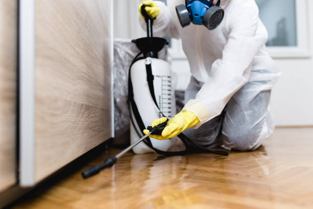 Best Rat Extermination Near Me  in Apalachin, NY