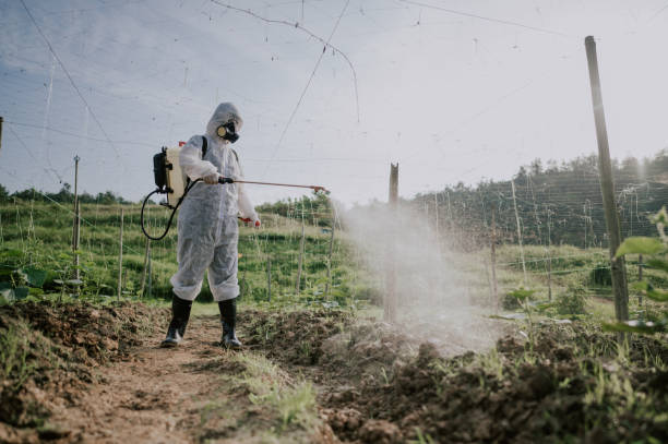 Best Local Pest Control Services  in Apalachin, NY