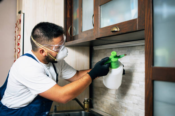 Best Residential Pest Control  in Apalachin, NY