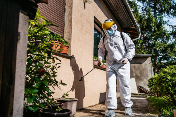 Best Flea Control Services  in Apalachin, NY