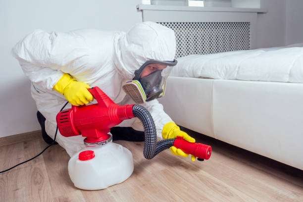 Best Exterminator Services  in Apalachin, NY