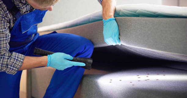 Professional Pest Control in Apalachin, NY