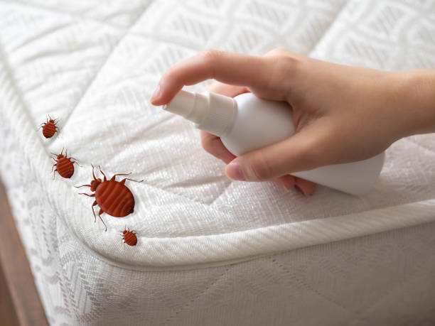 Pest Control for Restaurants in Apalachin, NY