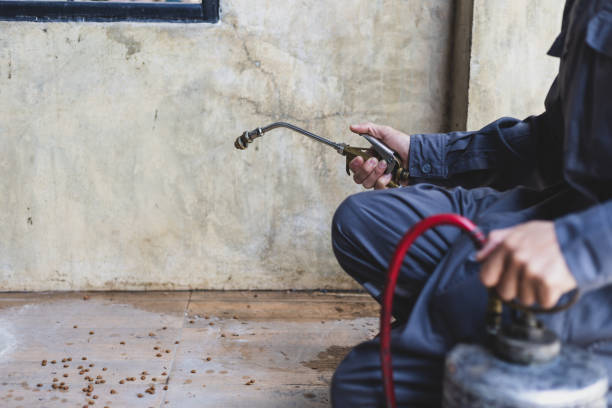Best Affordable Exterminators  in Apalachin, NY