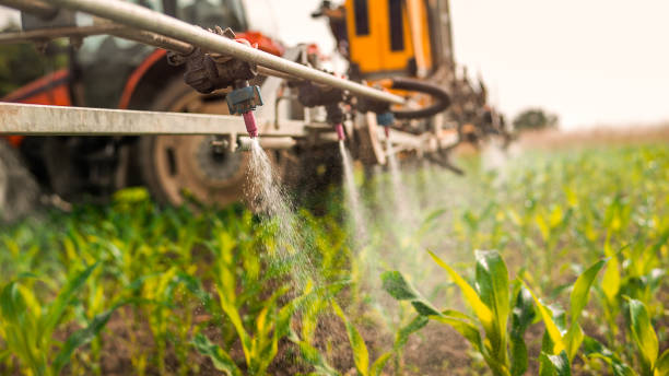 Best Mosquito Control Services  in Apalachin, NY