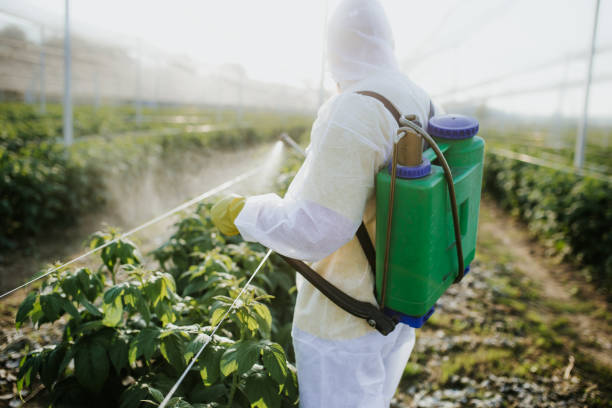  Apalachin, NY Pest Control Pros